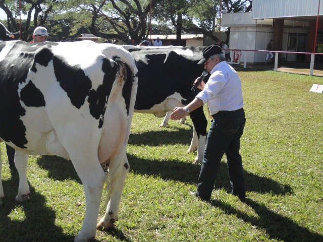 Foto Exposição – 2024