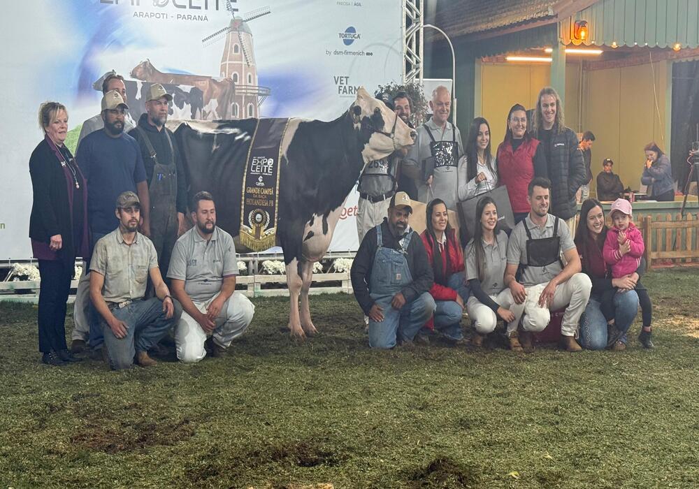 GRANDE CAMPEÃ – ADRIMAR RIETJE DOC 1308 TE