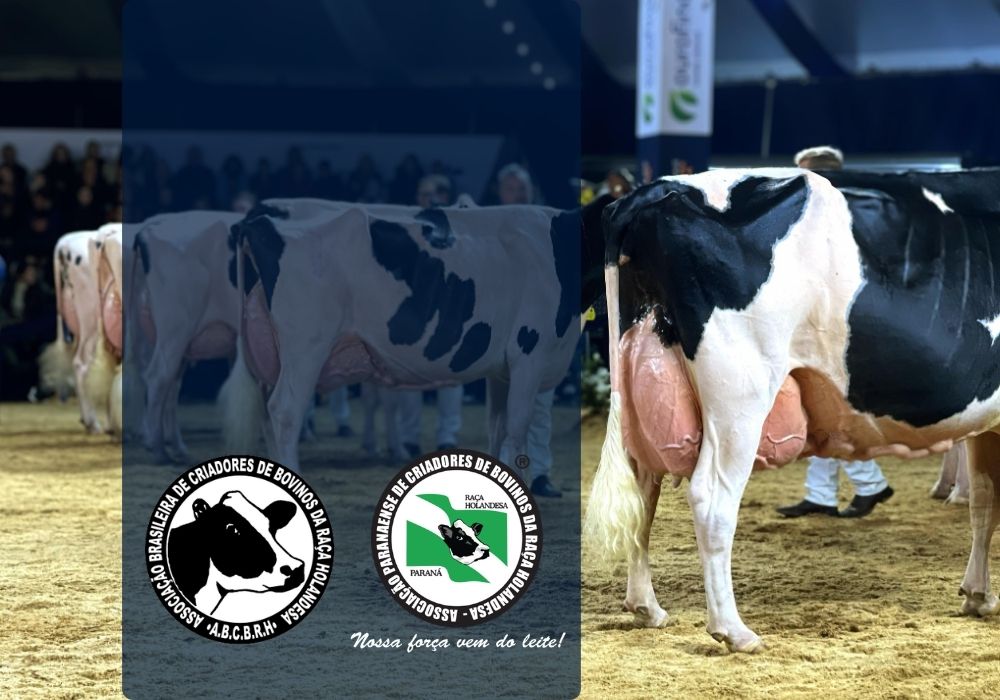 Tabela de enquadramento de exposições