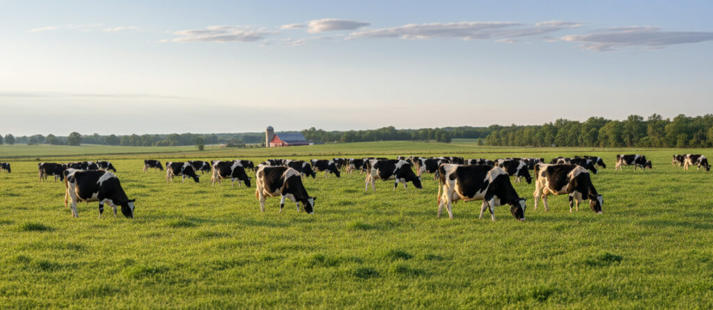 Capa Classificação - Desktop