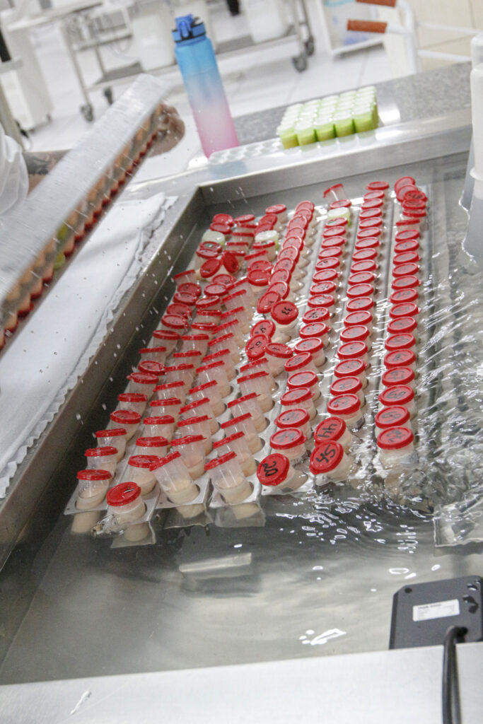 Foto miniatura – PARLEITE