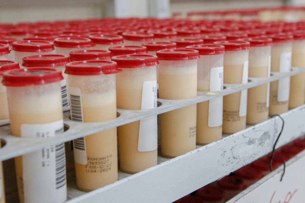 Foto miniatura – GCQ