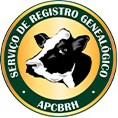 logo servico