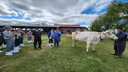 Bruno Jubinvelle – foto 2 (1)_thumbnail