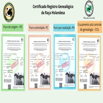 Certificado_Registro_Genealgico_da_Raa_Holandesa_page-0001_1
