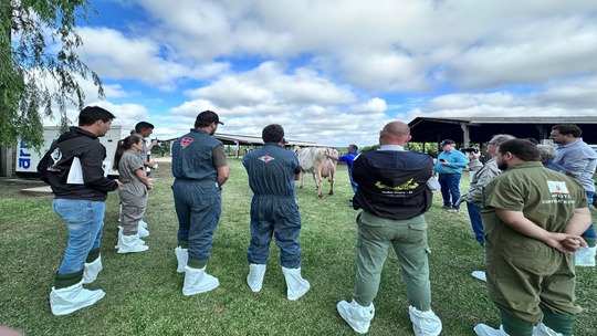 Classificadores 3 (1)1_thumbnail