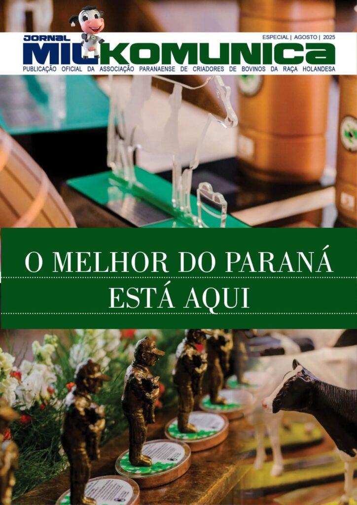 ESPECIAL-DESTAQUES-2024-CAPA-1086×1536