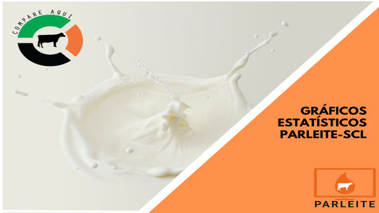 IMAGEM ILUSTRATIVA GRAFICOS ESTATÍSTICO (2) (1)_thumbnail