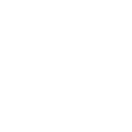 Ícone - Acesso a serviços técnicos exclusivos