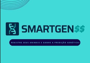 JMK-02-2025-80-350×245