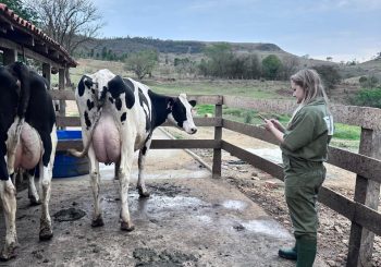 JMK-02-2026-01-350×245