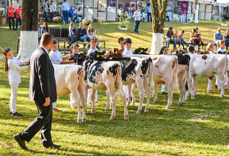 JMK-06-2025-EXPOLEITE