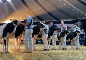 JMK-08-2025-36-350×245