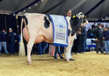 JMK-08-2025-55-350×245