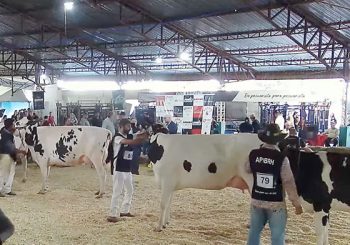 JMK-11-2025-24-350×245