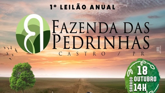 Leilão Fazenda Pedrinhas1 (1)_thumbnail