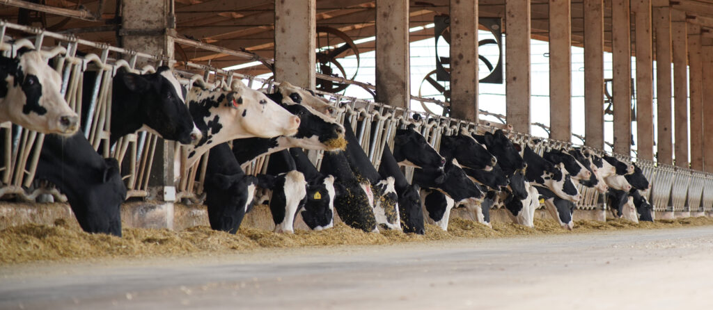 Capa Serviços - Mobile