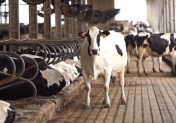 MK-11-2024-02-A-350×245