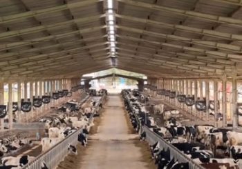 MK-11-2024-105-350×245