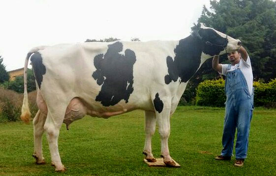 MK-11-2024-RCH-JANNY-1010