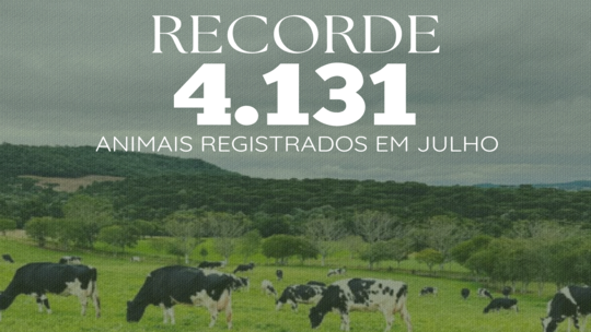 RECORDE (1)1 (1)1_thumbnail