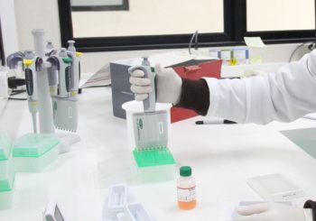 WhatsApp-Image-2025-03-06-at-15.52-350×245