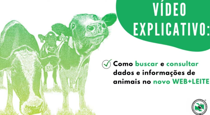 Dados e informações web+leite