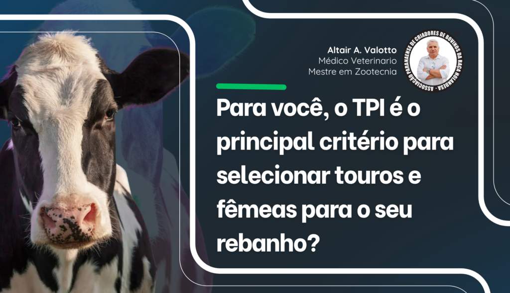 Capa artigo – TPI critério de seleção