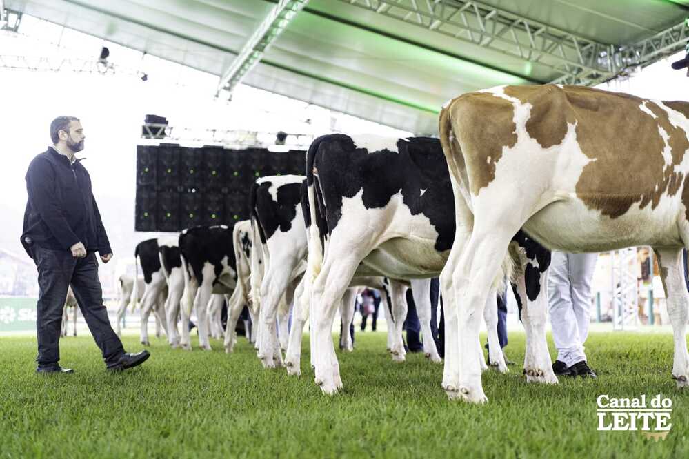 EXPOINGÁ 2026