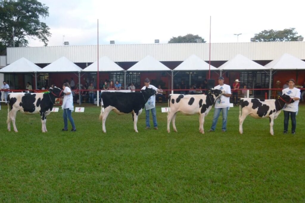Expoinga 2026-foto