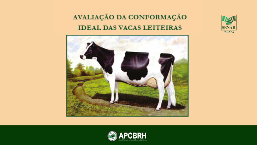 AVALIAÇÃO DA CONFORMAÇÃO