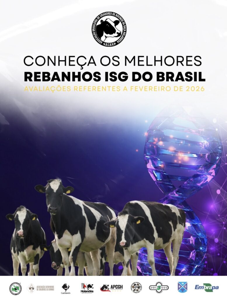 Top ISG – 2026