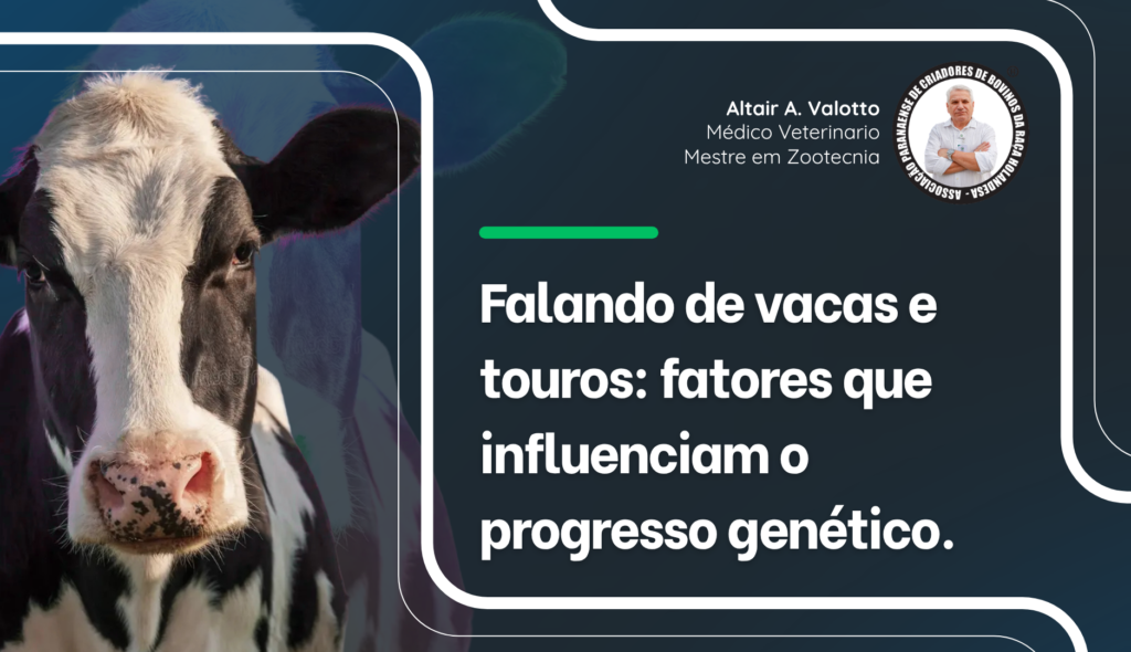 Capa artigo – Falando de vacas e touros