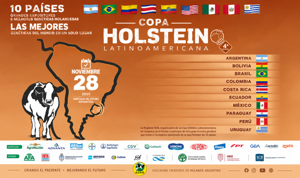COPA HOLSTEIN26