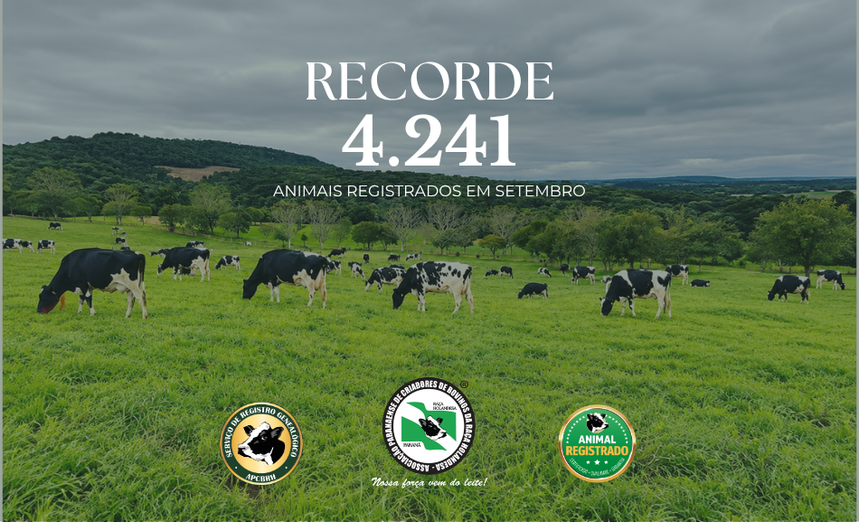 CAPAS MATÉRIAS – SITE