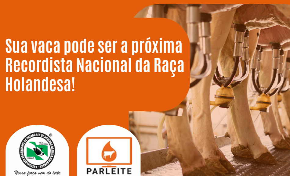 Recordista Nacional da Raça Holandesa
