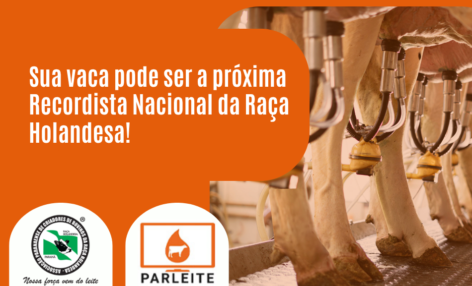 Recordista Nacional da Raça Holandesa