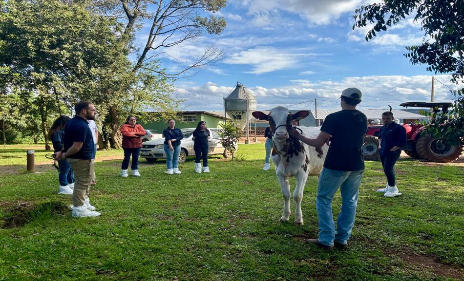 TREINAMENTO FRÍSIA_foto 1 (1)