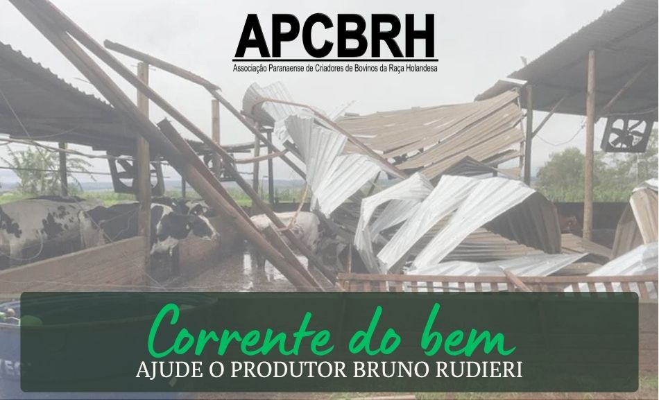 corrente do bem APCBRH – Bruno Rudiere1