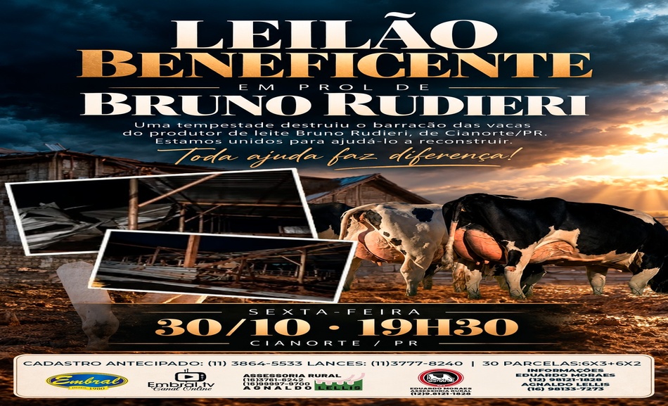 leilao_bruno_rudieri.